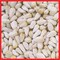 Coles Cole's Assorted Species Safflower Seeds Wild Bird Food 20 lb SA20 - alternate 2